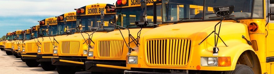 School general image with school buses